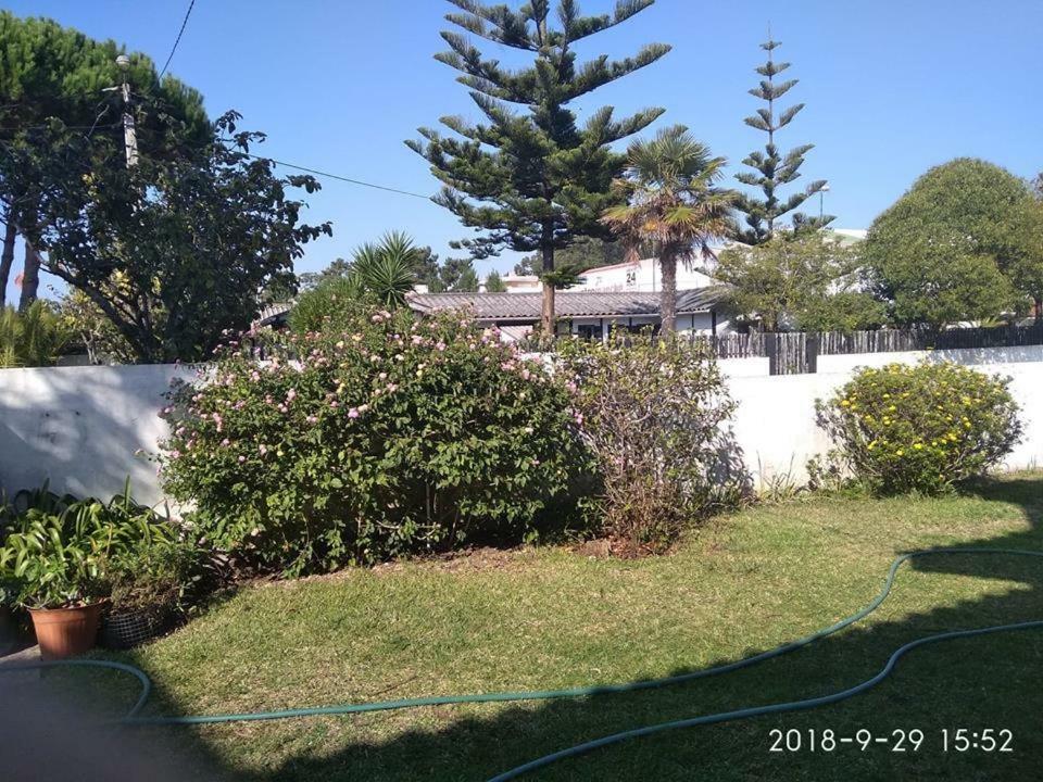 Homestay Casa Amarela *