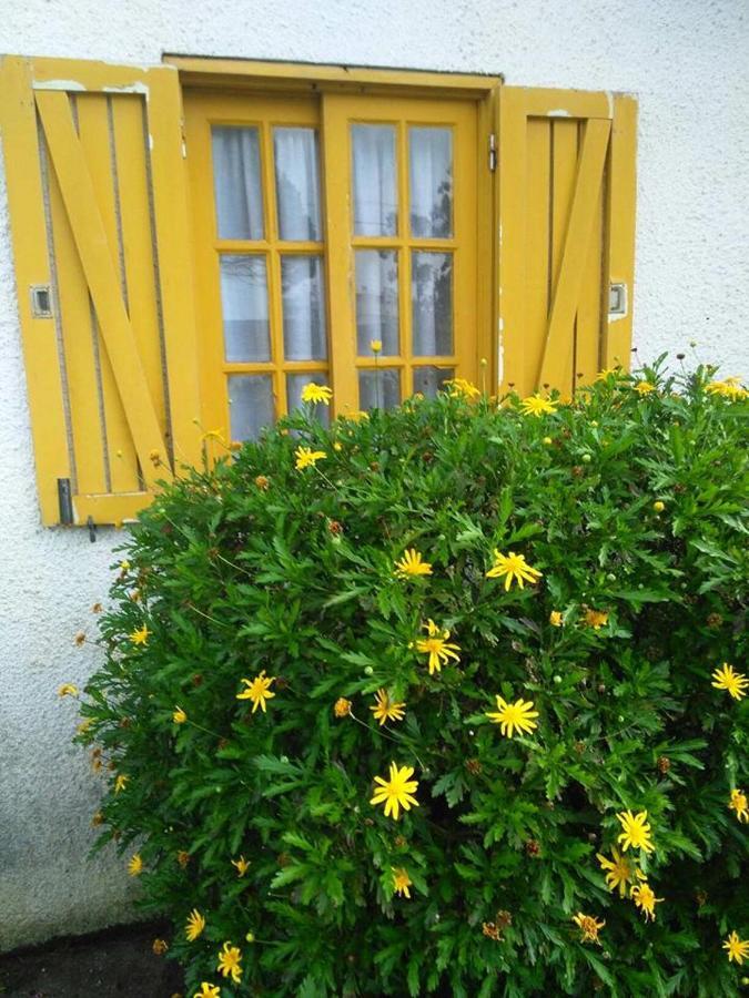 Casa Amarela *